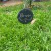 WEIYOUDP Personalized Pet Memorial Stones view 4