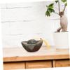 HEMOTON Ceramic Pet Urn for Small Pets, Ashes Memorial Box with Tassel, Easy to Clean, Keepsake for Cats and Dogs view 3