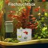 Aquarium Breeding Box, Clear Acrylic Fish Rearing Container view 2
