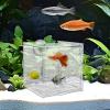 Aquarium Breeding Box, Clear Acrylic Fish Rearing Container view 3