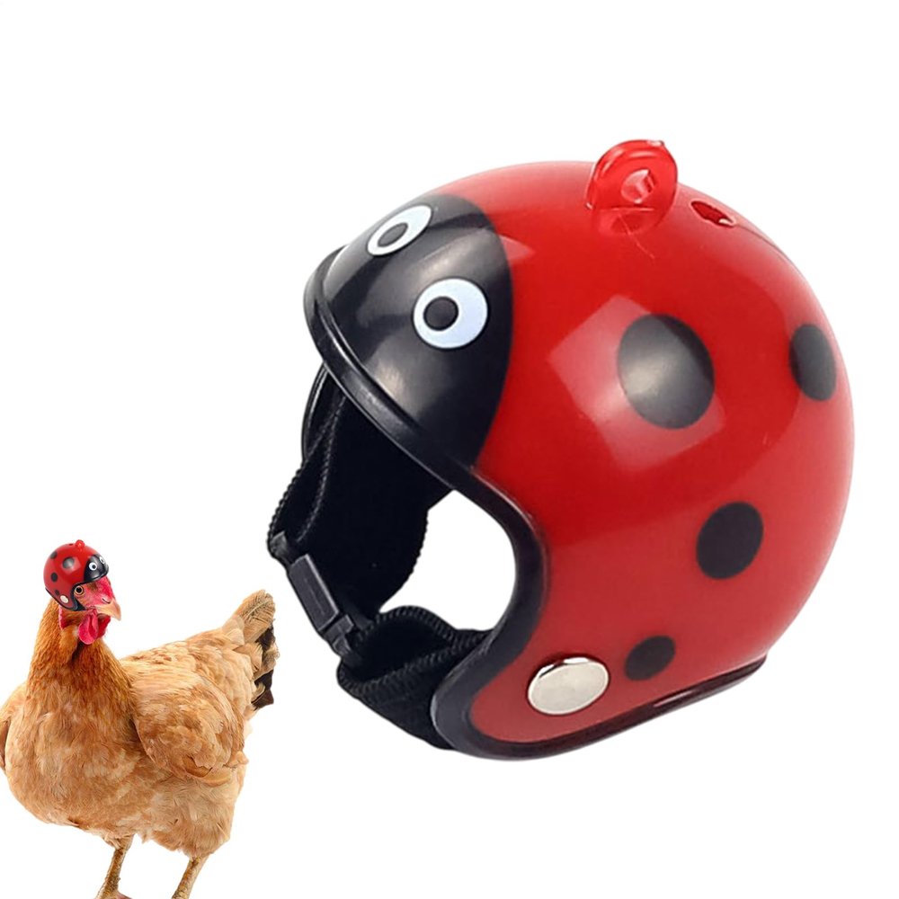 Hard Shell Chicken Helmet