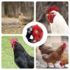 Hard Shell Chicken Helmet view 3