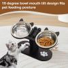 Dog Food and Water Bowl Set with Stand - Small Dog Bowls | Pet Fountain for Kittens, Puppies, Older Pets and Multi-Pet Homes view 2