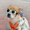 Panoramic Dog Sunglasses with UV Protection view 3