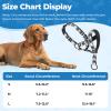 Soft Nylon Dog Head Collar with Letter Pattern, Adjustable, Black W Style view 3