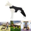 Dog Leggings, Rear Leg Bandage for Warmth and Injured Pets view 2