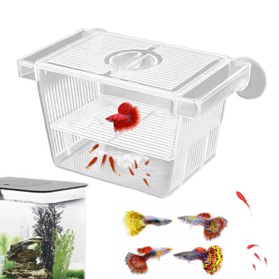 Aquarium Breeder Box