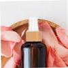 LOLIPPYY 2-Piece Replacement Spray Heads for Perfume and Toner Bottles view 4