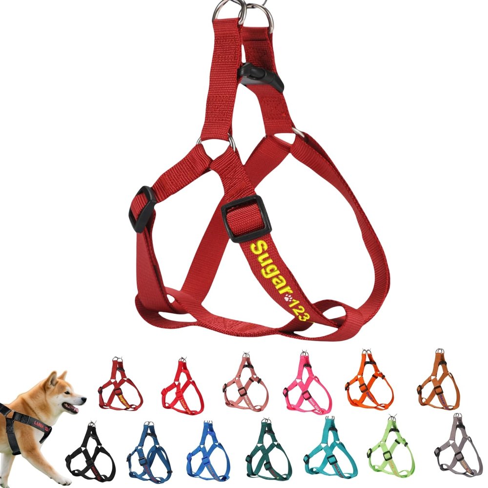 Personalized No-Pull Dog Harness with Name and Phone Number