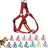 Personalized No-Pull Dog Harness with Name and Phone Number view 1