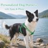 Personalized No-Pull Dog Harness with Name and Phone Number view 2