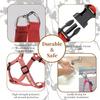 Personalized No-Pull Dog Harness with Name and Phone Number view 3