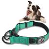 Lalazoo RICO Adjustable Dog Collar view 2
