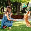 DECOMELODY Bite-Resistant Dog Ball for Outdoor Training, 1 Count view 3