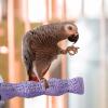 Bird Perch for Cages view 3