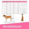 Dog Wheelchair for Hind Legs, 2-Wheel Mobility Aid for Small and Large Dogs view 2