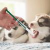 Qcwwy PET Feeding Medication Applicator view 3