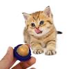 VERDANVERSE Cat Treat Ball with Catnip, Lickable, Pack, Blue view 4