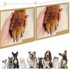 Fzaqwen Dog Nail File view 2