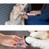 Fzaqwen Dog Nail File view 3