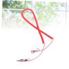 ibasenice Training Leash for Parrots - 3 Meter view 4