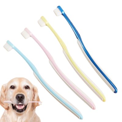 Eventerde Puppy Toothbrushes - 4-Pack Cat Toothbrushes, Gum Care