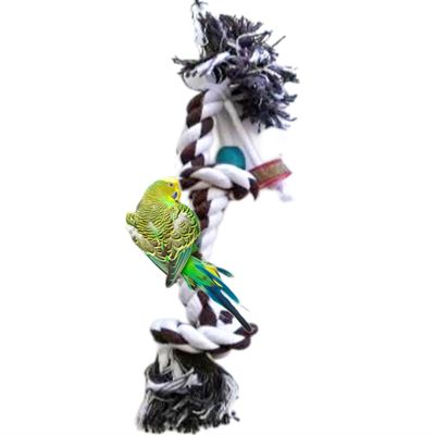 Bird Swing with Climbing Rope