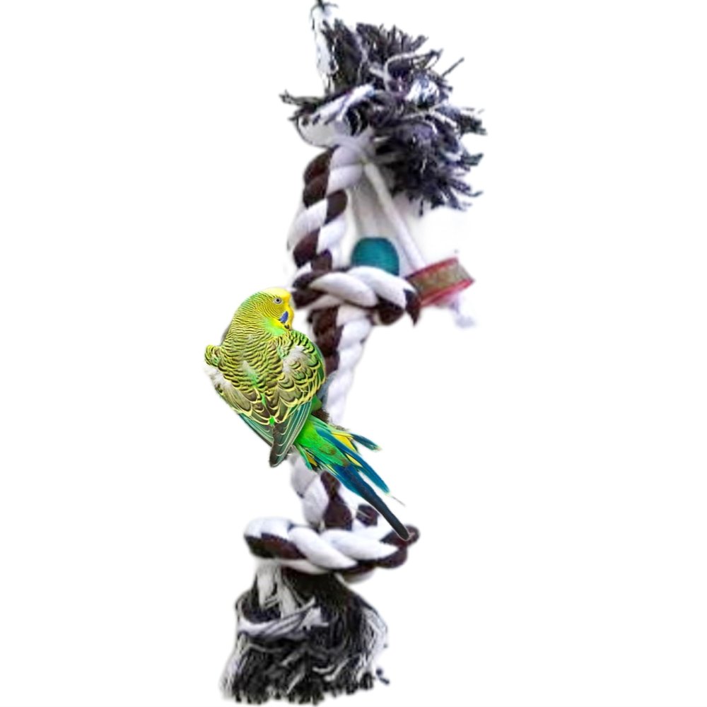 Bird Swing with Climbing Rope