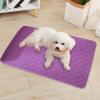 Reusable Dog Pee Pads view 3