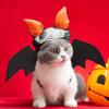 Bat Wings Costume for Cats view 3
