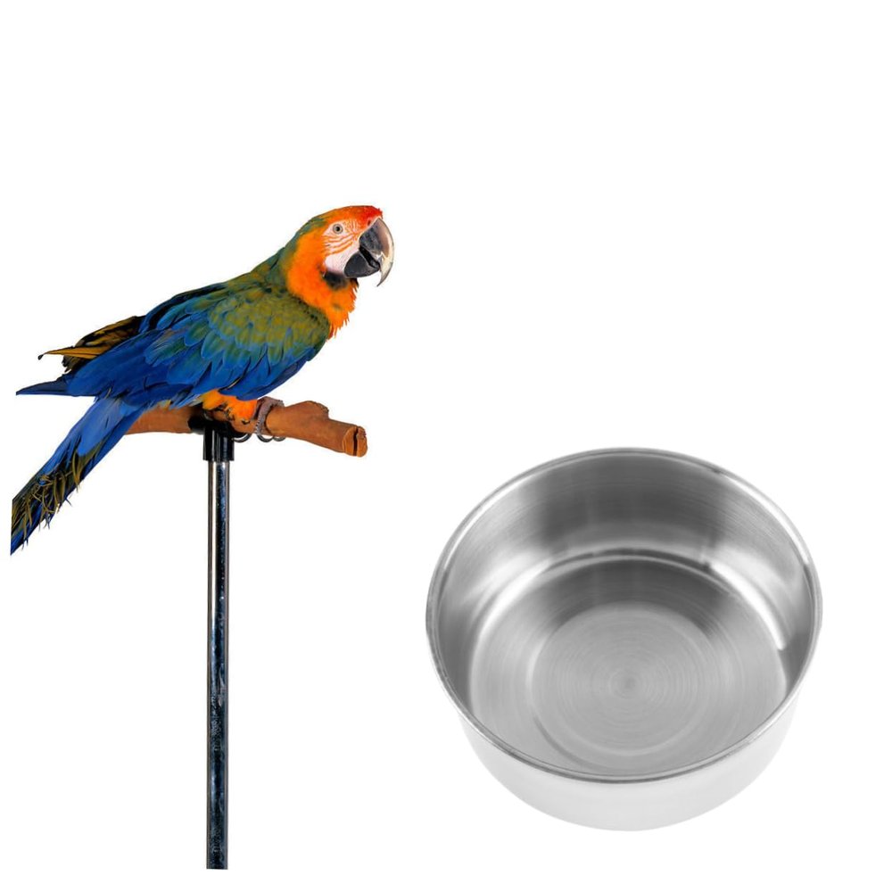 BUGUUYO Interactive Parrot Feeding Box