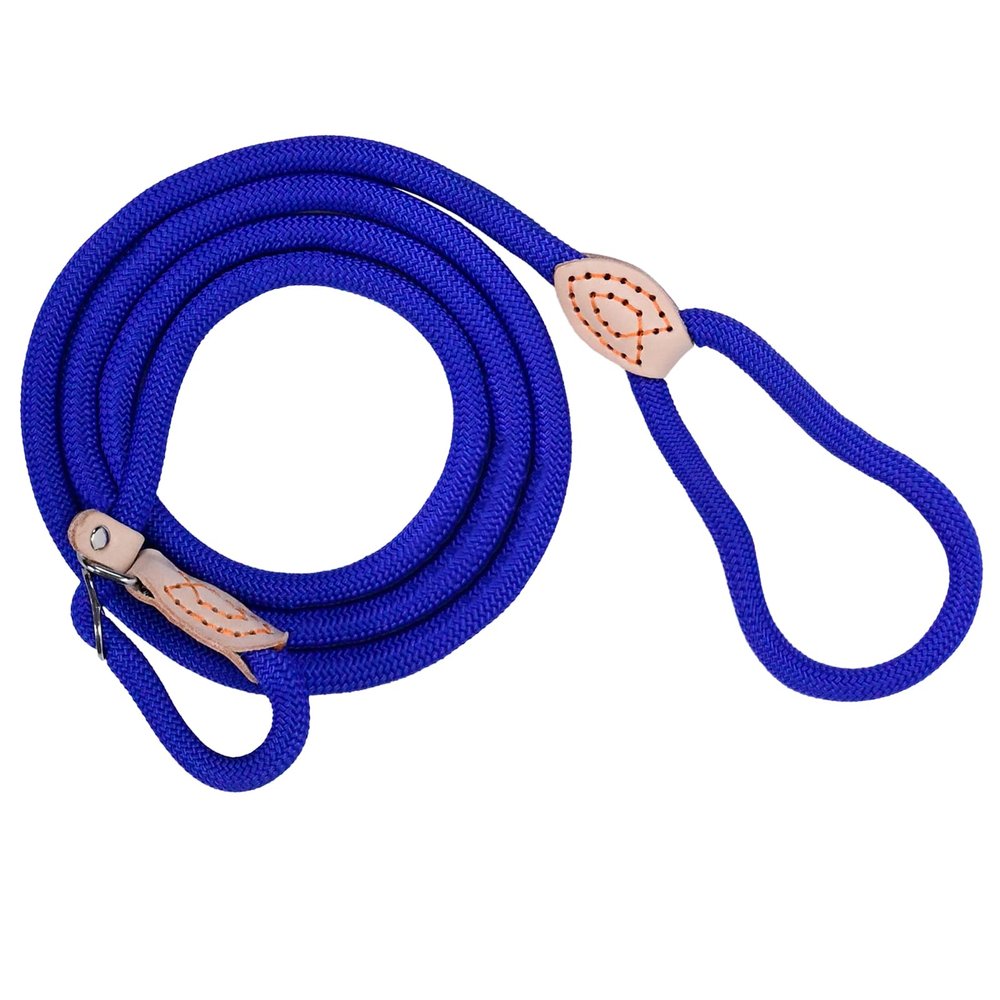 Retractable Dog Leash with Stop, 180 cm Adjustable Leash with Collar, Weather-Resistant for Small to Large Dogs, Blue