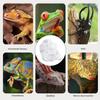 Magnetic Reptile Feeding Ledge with Suction Cup Food Tray view 4