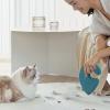 Dog Hair Remover Tool view 4