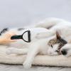 Dual-Sided Dematting Comb for Pets view 4