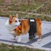 Reusable Dog Diapers, Medium view 2
