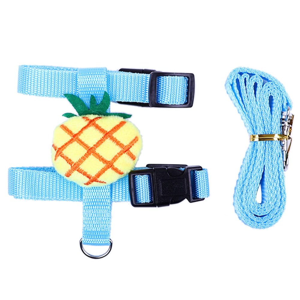 Adjustable Harness and Leash for Small Pets