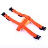 Adjustable Harness and Leash for Small Pets view 3