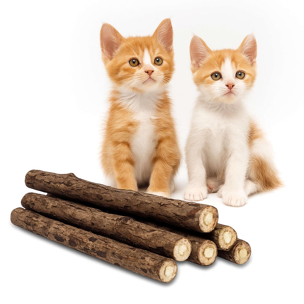 CZ Store - Matatabi Sticks | 6 Pack Reusable Chew Toy for Cats