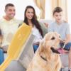 Bear-Shaped Pet Grooming Comb for Cats and Dogs view 3