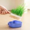 Genrico Hydroponic Cat Grass Planter view 4