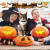 Bat Wings | Halloween Costume for Small Dogs and Puppies view 3
