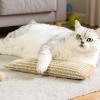 Catnip Toy - Chew Toy for Cats view 3