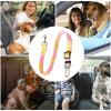 Dog Seat Belt for Car - Adjustable Nylon Harness view 4