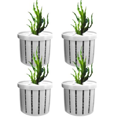 Aquarium Plant Holder - 4 Pieces