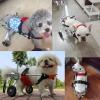 Dog Wheelchair for Paralyzed Pets, 2-Wheel Support Cart for Injured or Disabled Dogs view 2