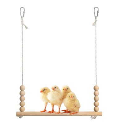 Zunishaone Chicken Swing for Coop