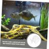 Fish Food Dispenser with Suction Cups, 4 Pieces, Acrylic, White, for Aquarium view 4