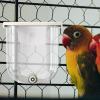Bird Water Dispenser Bottle, 330 ml, Leak-Proof view 2