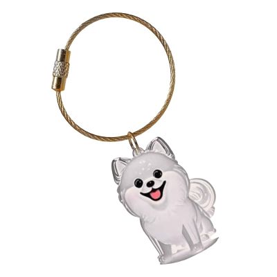Fluxioxtna Dog Hair Memorial Keychain with Clear Display Box